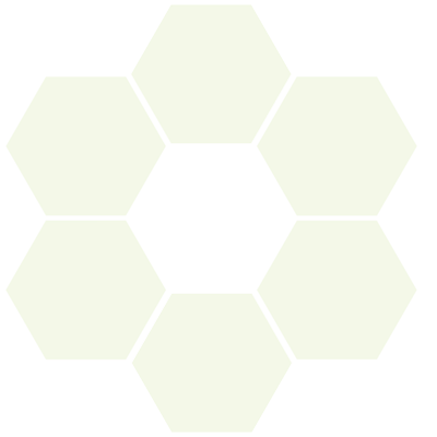 waben_green Bau & Biologie Klettgau Erzingen