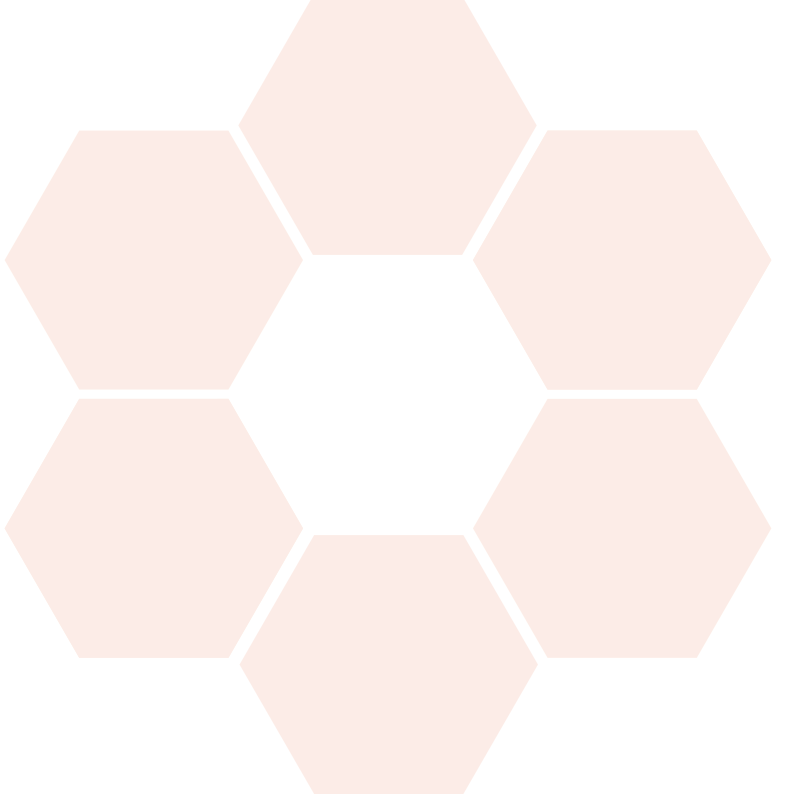 waben_orange Bau & Biologie Klettgau Erzingen